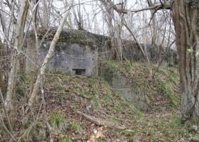 Ligne Maginot - DAUBENSAND 1 - (Abri) - 