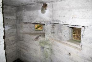 Ligne Maginot - DIGUE DE FRIESENHEIM 4 - (Blockhaus pour arme infanterie) - 