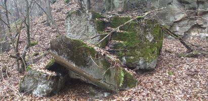 Ligne Maginot - HOCHWALD - REDUIT - (Ouvrage d'infanterie) - Le mur de façade du blockhaus de défense de l'entrée. On distingue les gradins d'un créneau