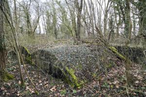 Ligne Maginot - GERSTHEIM 1 (TêTE DE PONT DE ) - (Abri) - Vue générale extérieure des deux alvéoles