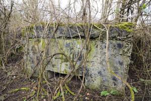 Ligne Maginot - GERSTHEIM 2 (TêTE DE PONT DE ) - (Abri) - L'entrée sud bouchée vue de l'extérieur