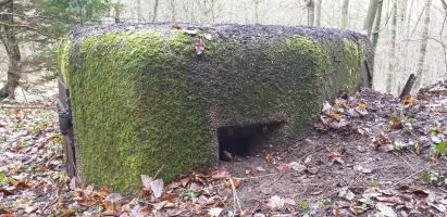 Ligne Maginot - PFAFFENSCHLICK NORD - (Blockhaus pour arme infanterie) - Créneau de droite