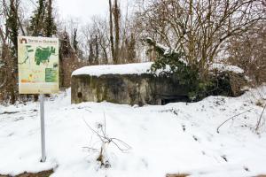 Ligne Maginot - HERRENFELD EST - (Abri actif) - 
