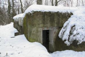 Ligne Maginot - HERRENFELD EST - (Abri actif) - 