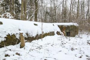 Ligne Maginot - RUHORT - (Abri) - 