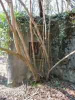 Ligne Maginot - BIBLISHEIM 2 - (Blockhaus pour arme infanterie) - 