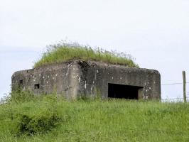 Ligne Maginot - BIRLENBACH SUD 1 - (Blockhaus pour canon) - 
