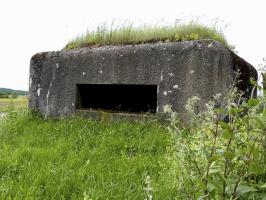 Ligne Maginot - BIRLENBACH SUD 1 - (Blockhaus pour canon) - 