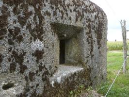 Ligne Maginot - BIRLENBACH SUD 1 - (Blockhaus pour canon) - 