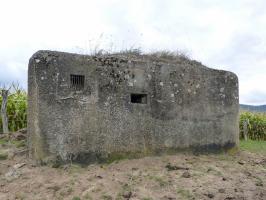 Ligne Maginot - BIRLENBACH SUD 1 - (Blockhaus pour canon) - 
