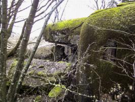 Ligne Maginot - BREITENACKER NORD - (Casemate d'infanterie - Simple) - 