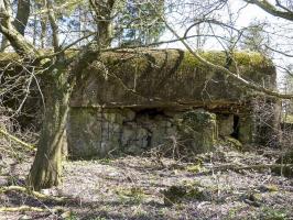 Ligne Maginot - BREITENACKER NORD - (Casemate d'infanterie - Simple) - 