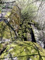 Ligne Maginot - BREITENACKER NORD - (Casemate d'infanterie - Simple) - 