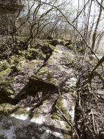 Ligne Maginot - BREITENACKER SUD - (Casemate d'infanterie - Simple) - 