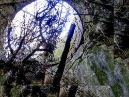 Ligne Maginot - BREITENACKER SUD - (Casemate d'infanterie - Simple) - 