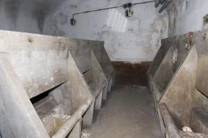Ligne Maginot - GRASERSLOCH - (Abri) - Les lavabos pour la troupe