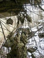 Ligne Maginot - HOCHWALD C8 ( Casemate d'infanterie ) - La façade de la chambre de tir éventrée