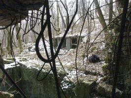 Ligne Maginot - HOCHWALD C9 ( Casemate d'infanterie ) - La façade de l'entrée éventrée 