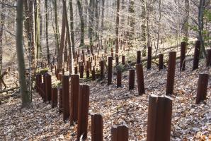 Ligne Maginot - HOCHWALD C9 (Casemate d'infanterie) - Le réseau de rails antichar aux abords