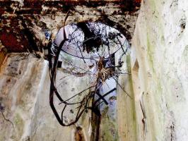 Ligne Maginot - INGOLSHEIM Est ( Casemate d'infanterie ) - 