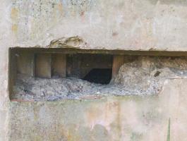 Ligne Maginot - WISSEMBOURG NORD EST - (Poste GRM - Maison Forte) - L'embrasure type A pour FM est visible sur cette photo