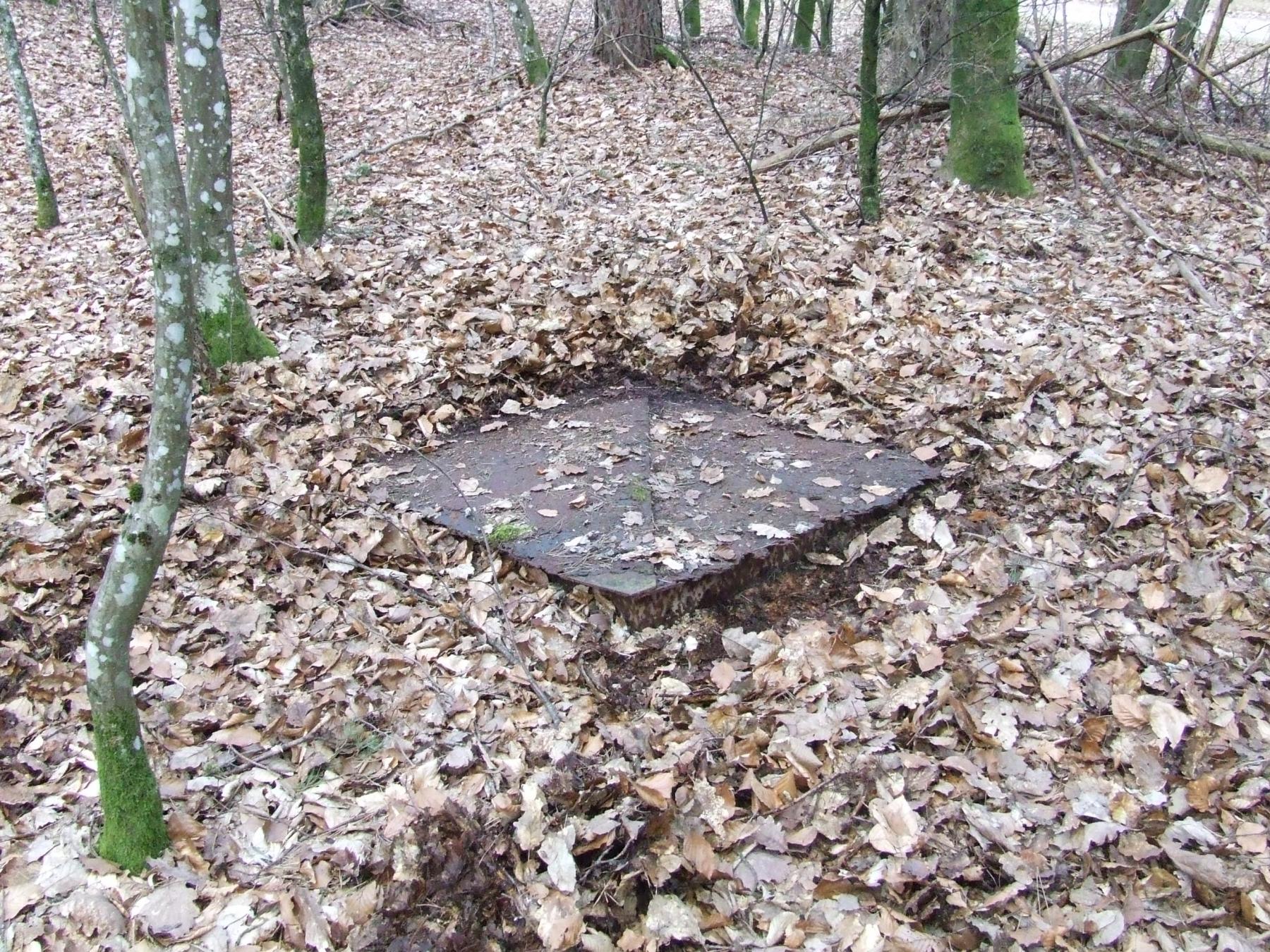 Ligne Maginot - D - (Chambre de coupure) - La chambre de coupure D - STENGER Mathieu