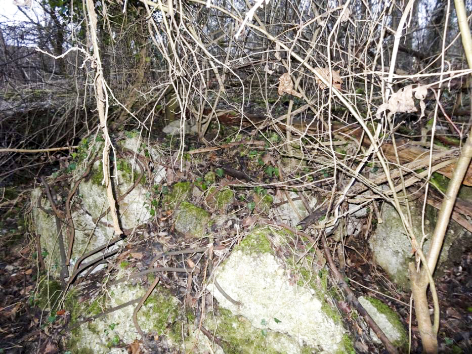 Ligne Maginot - 302A - PORT DU RHIN SUD 30 - (Blockhaus pour arme infanterie) - Restes probables du bloc 30