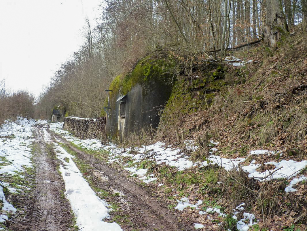 Ligne Maginot - FROHMUHL (PC DU QUARTIER KAPELLENHOF - II/153° RIF) - (Abri) -  - Aditus