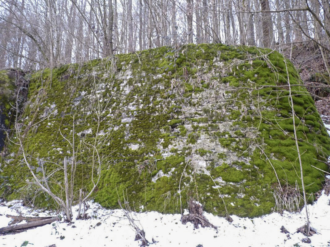 Ligne Maginot - FROHMUHL (PC DU QUARTIER KAPELLENHOF - II/153° RIF) - (Abri) - Mur de protection aux abords de l'un des coffres d'entrée
