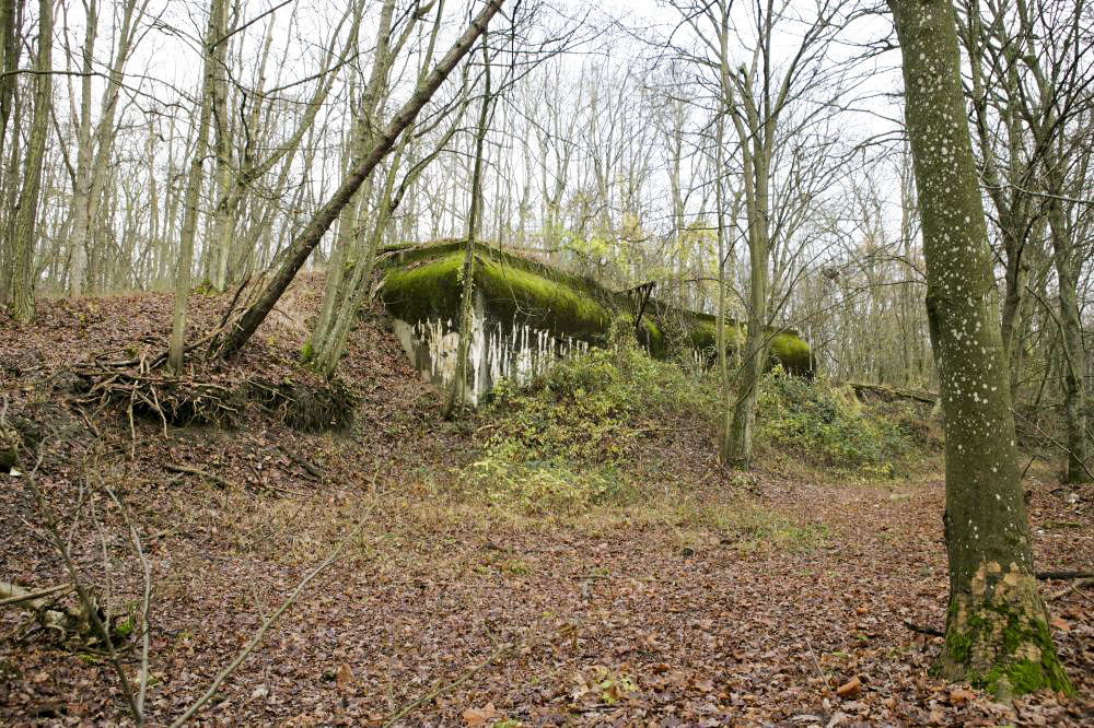 Ligne Maginot - SOETRICH - A11 - (Ouvrage d'artillerie) - Entrée munitions
