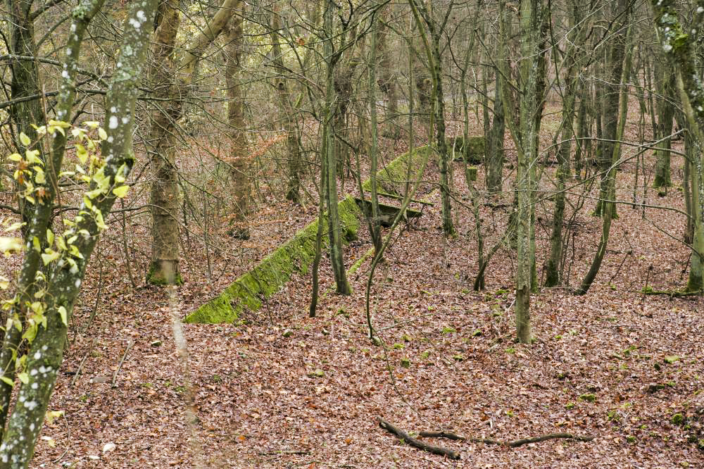 Ligne Maginot - SOETRICH - A11 - (Ouvrage d'artillerie) - Entrée munitions
Le fossé de recueillement des eaux