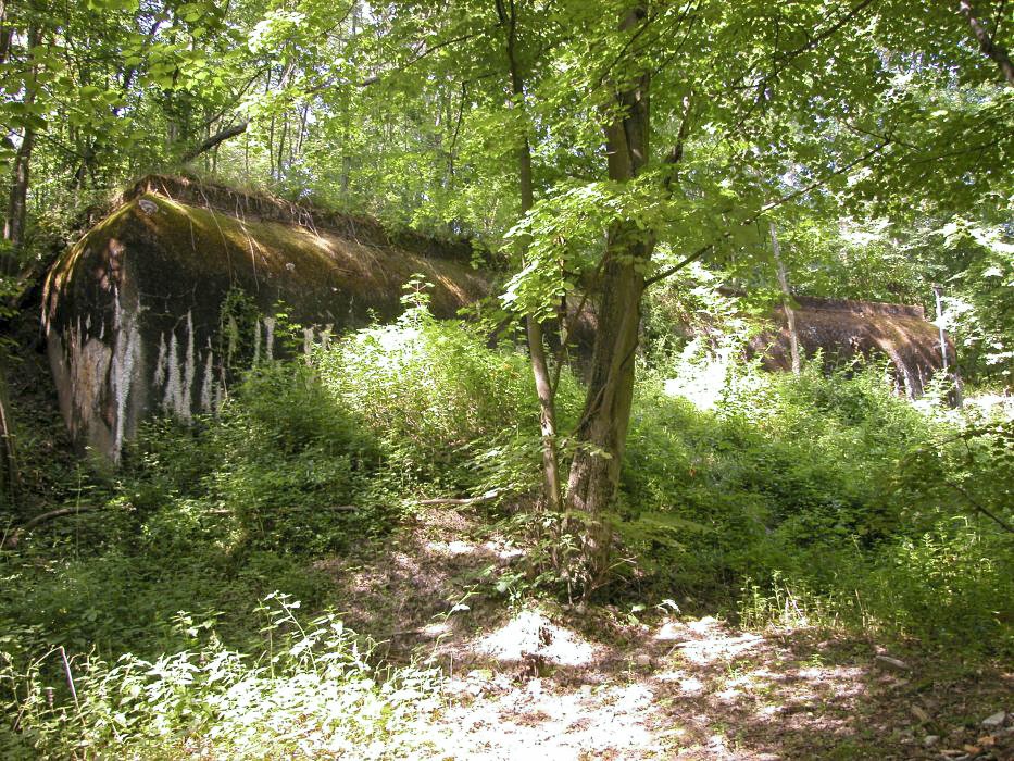 Ligne Maginot - SOETRICH - A11 - (Ouvrage d'artillerie) - Entrée munitions
La façade remblayée