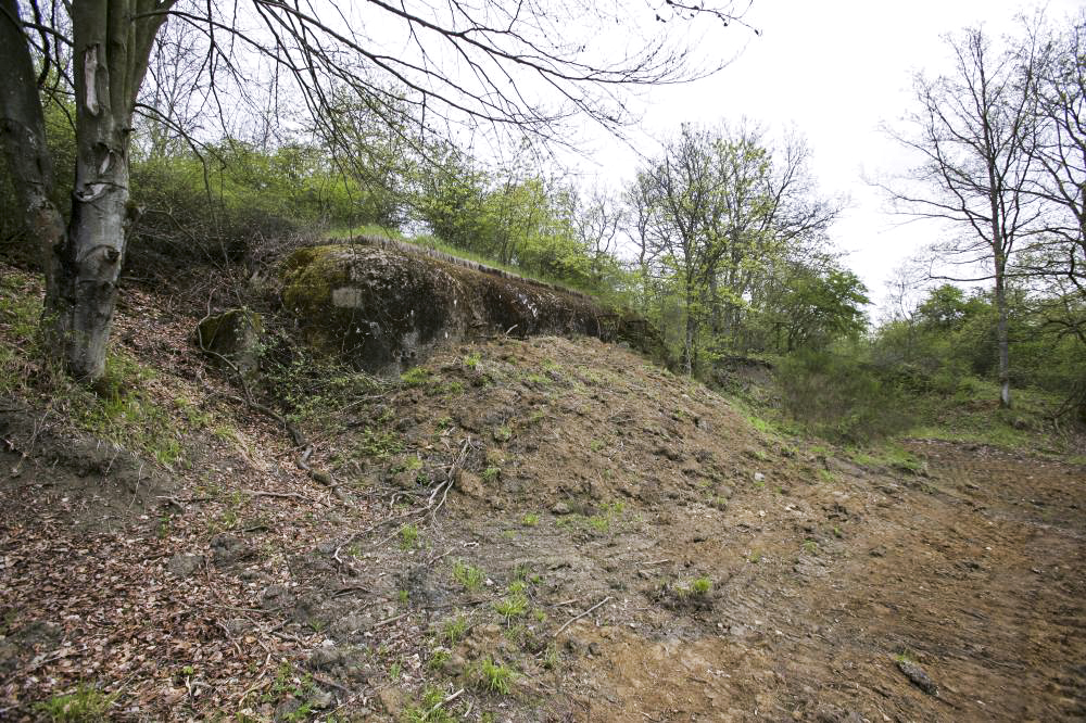 Ligne Maginot - SOETRICH - A11 - (Ouvrage d'artillerie) - Bloc 3
Casemate d'infanterie et mortiers de 81 mm couvrant le ravin de Boust