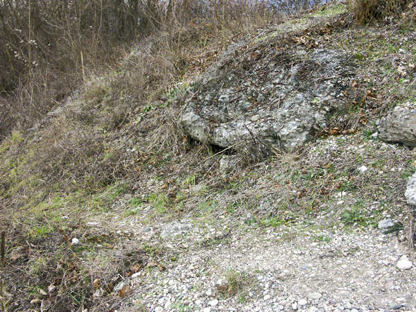 Ligne Maginot - BASSIN AUX PETROLES - (Casemate d'infanterie - Double) - Restes de béton apparents