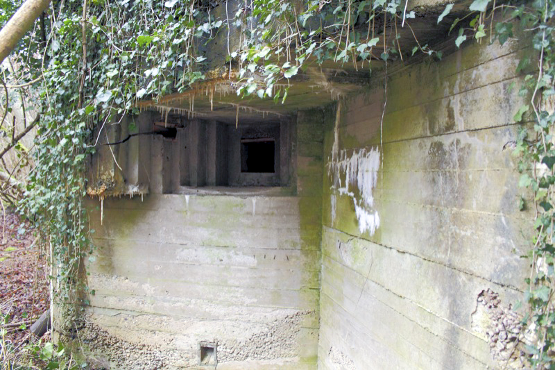 Ligne Maginot - BAUERNGRUNDWASSER - (Blockhaus pour arme infanterie) - Créneau FM Sud