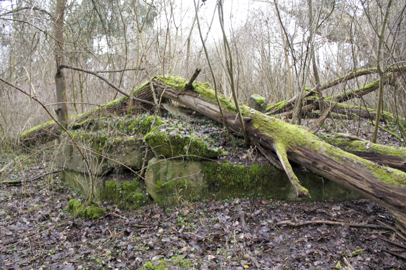 Ligne Maginot - BAUERNGRUNDWASSER - (Blockhaus pour arme infanterie) - La culée du pont sur le Bauerngrundwasser que surveillait le blockhaus.
