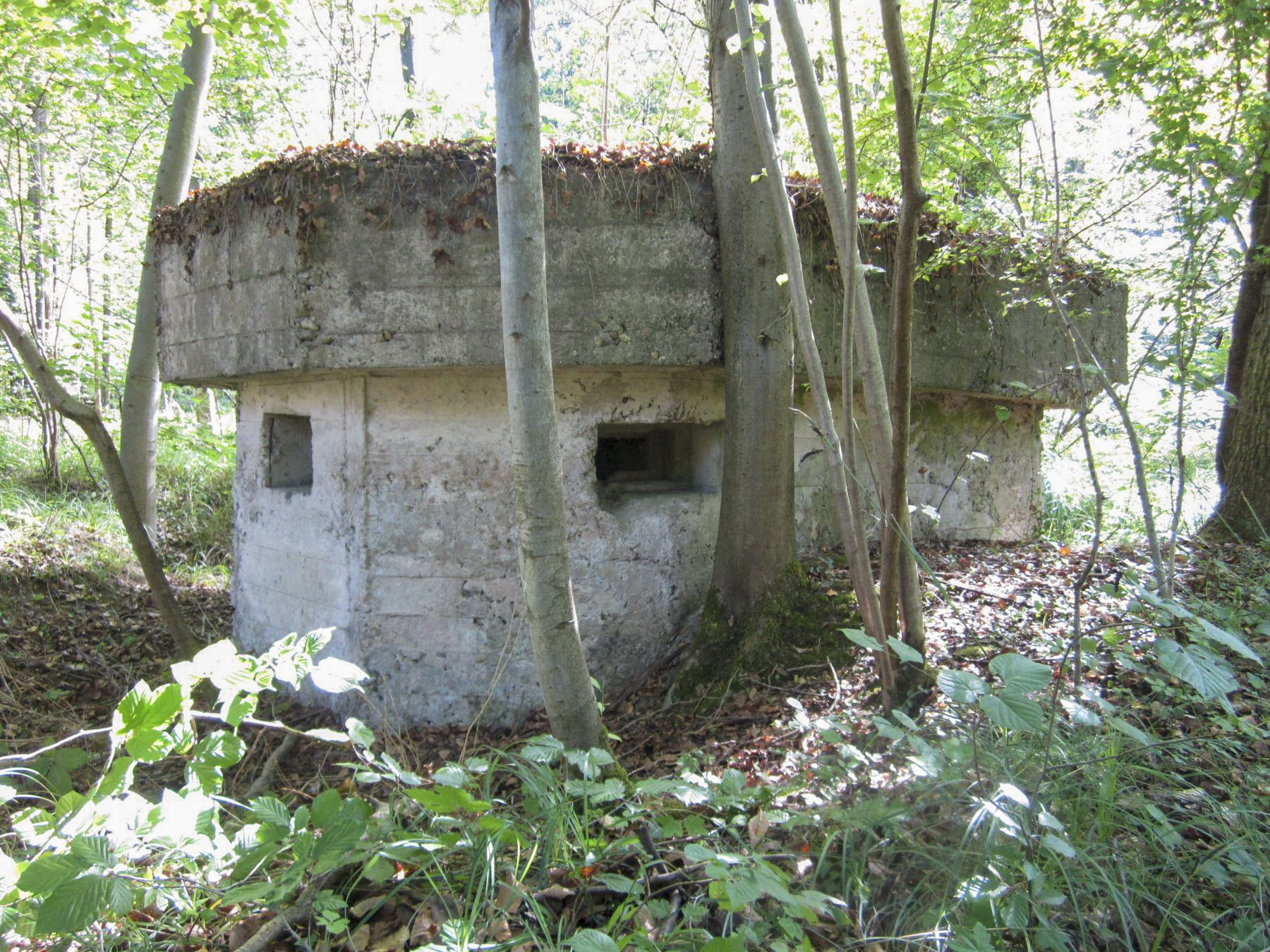 Ligne Maginot - BLAUELSANDKOEPFEL - (Blockhaus pour arme infanterie) - Créneau latéral gauche