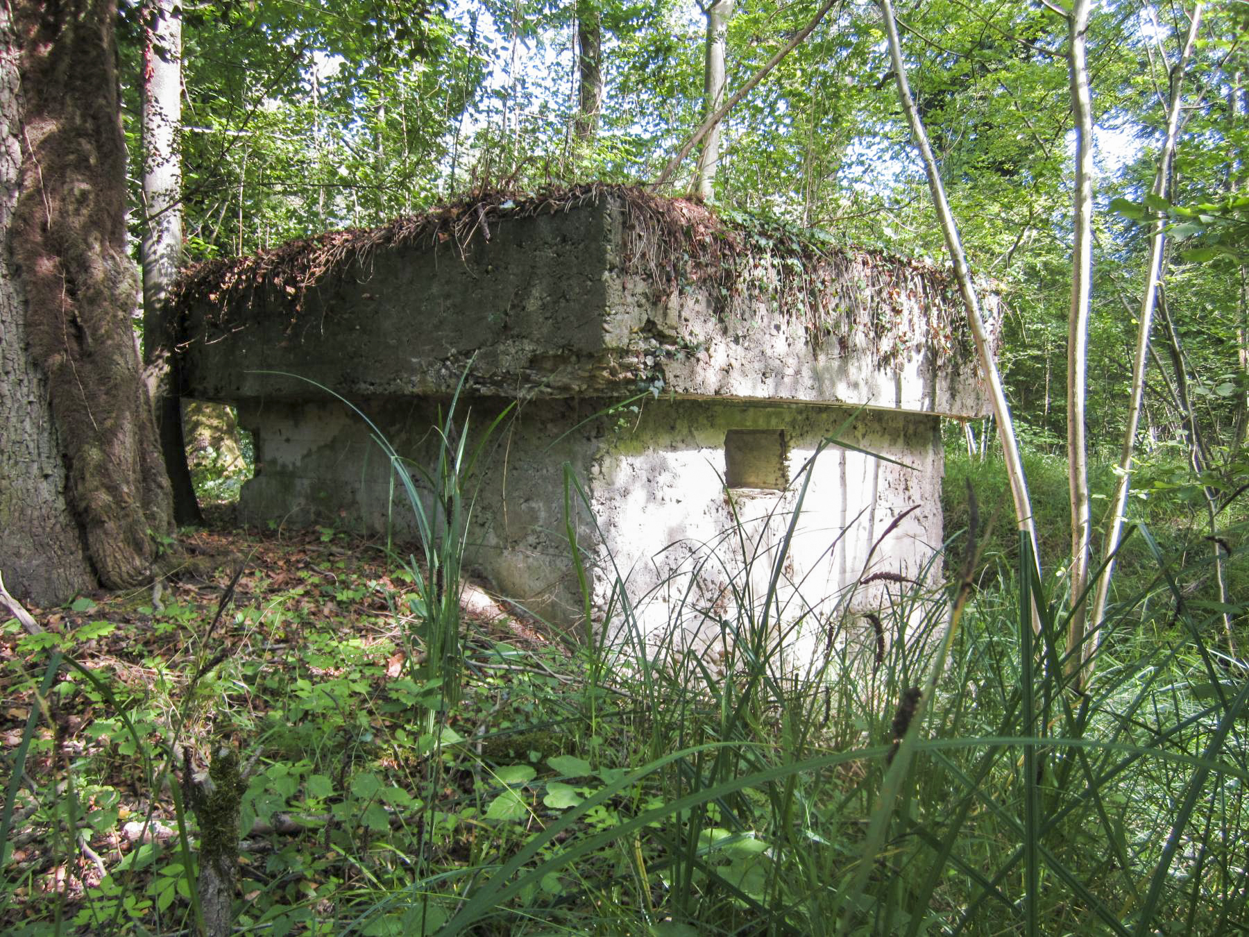 Ligne Maginot - BLAUELSANDKOEPFEL - (Blockhaus pour arme infanterie) - Créneau arrière