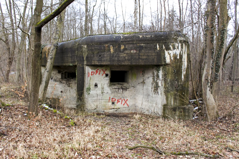 Ligne Maginot - BLAUELSAND - (Casemate d'infanterie - Simple) - Vue générale