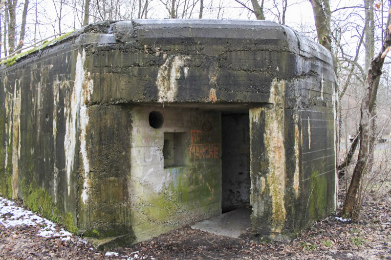 Ligne Maginot - BLAUELSAND - (Casemate d'infanterie - Simple) - Vue générale