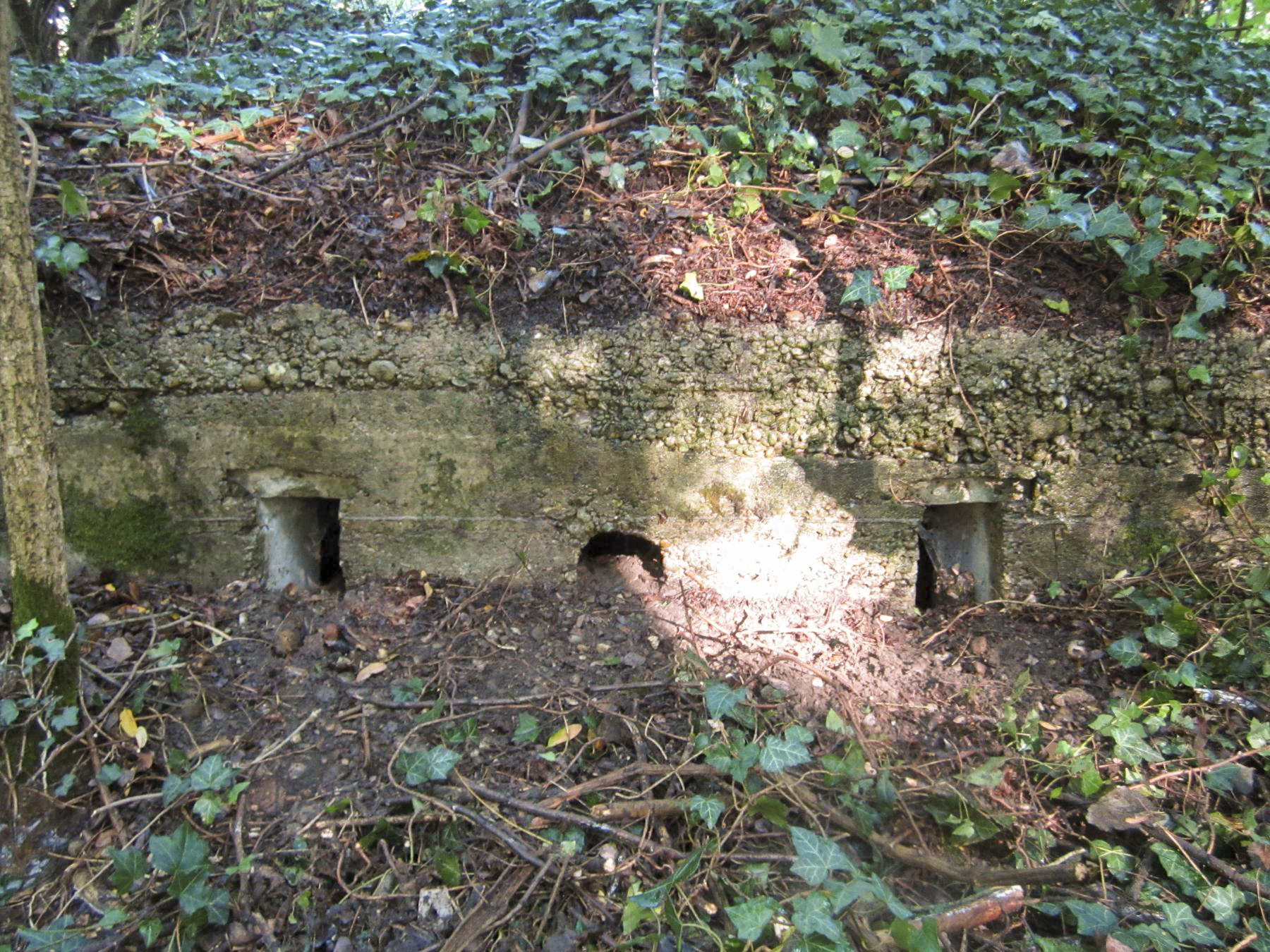 Ligne Maginot - ETANG GERIG 4 - (Abri) - 
