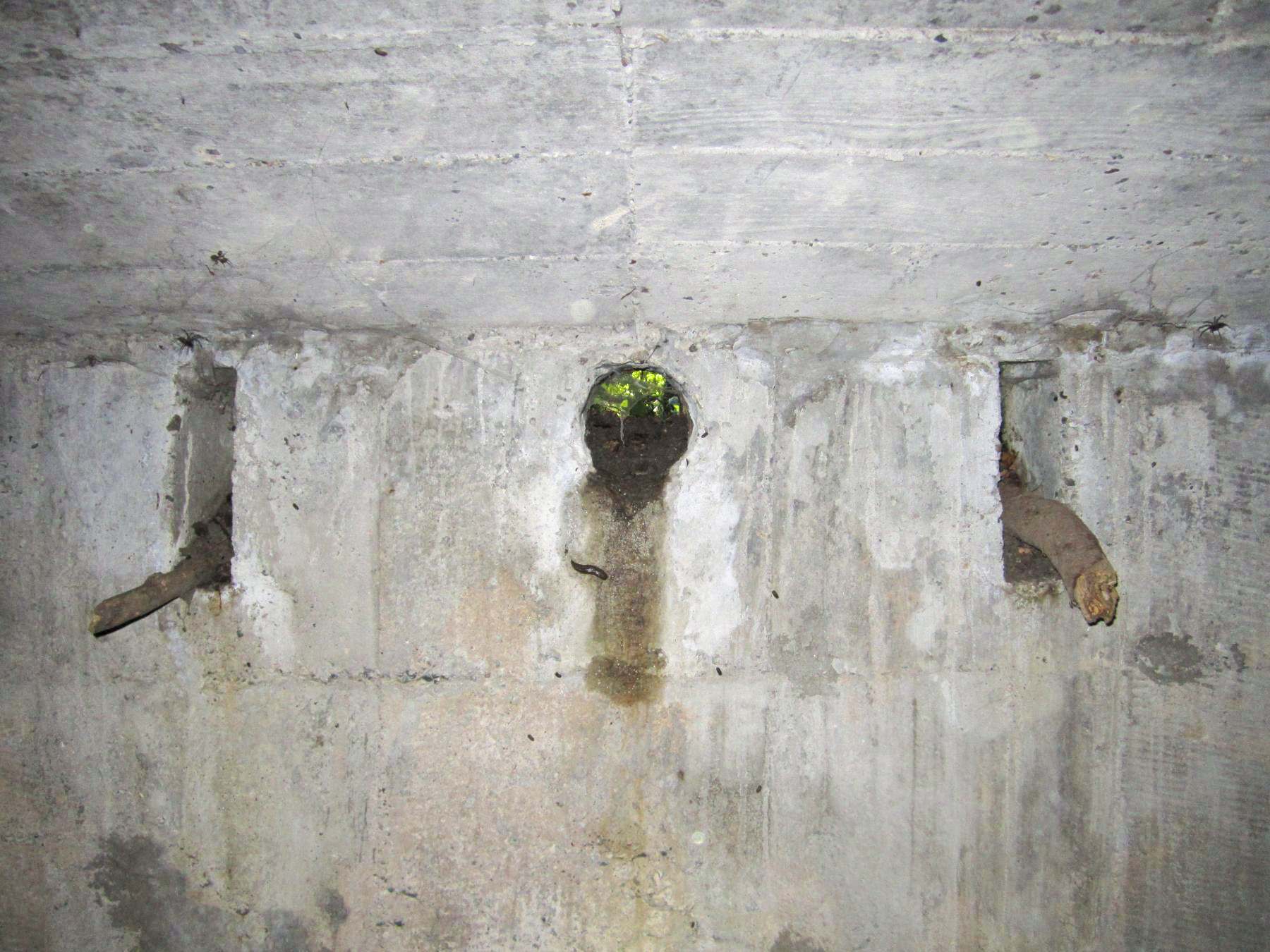 Ligne Maginot - ETANG GERIG 4 - (Abri) - 