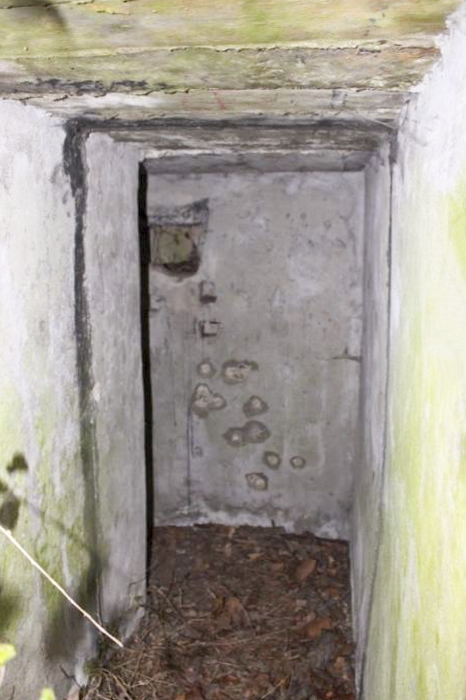 Ligne Maginot - GROSSBELTZWOERTH OUEST - (Blockhaus pour arme infanterie) - 