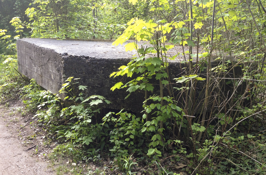 Ligne Maginot - GROSSBELTZWOERTH OUEST - (Blockhaus pour arme infanterie) - 