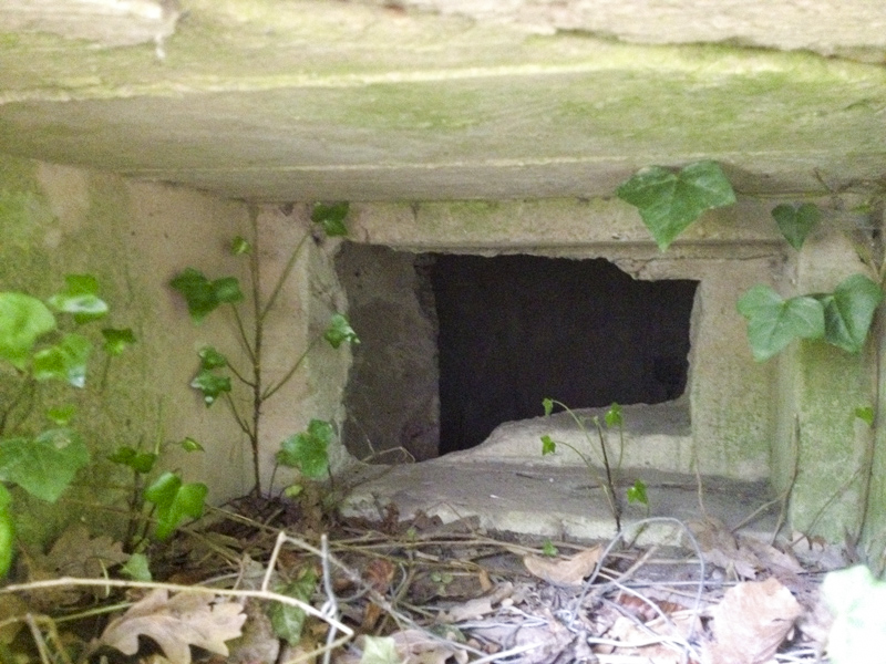 Ligne Maginot - GROSSBELTZWOERTH OUEST - (Blockhaus pour arme infanterie) - L'un des créneaux