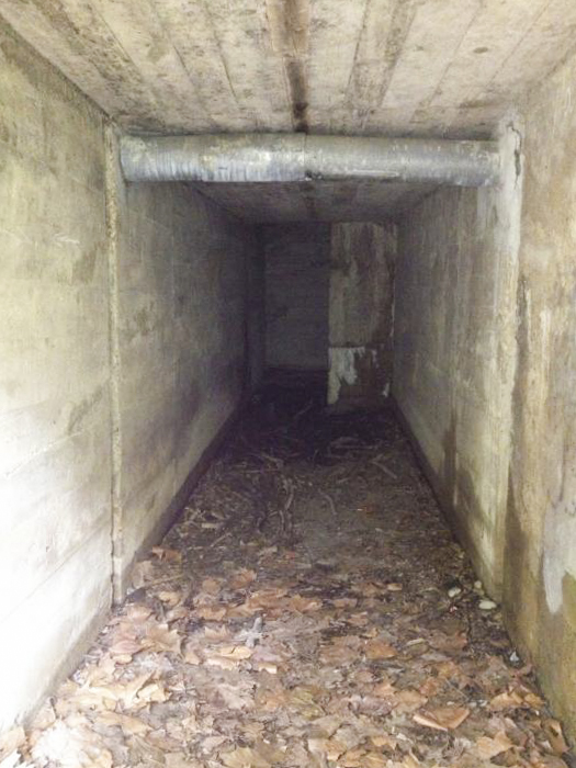 Ligne Maginot - HAUTE DIGUE 5 - (Blockhaus pour arme infanterie) - Noter le tubage en partie haute protégeant des cables longeant la digue, peut être mis en place après guerre - Pascal LAMBERT