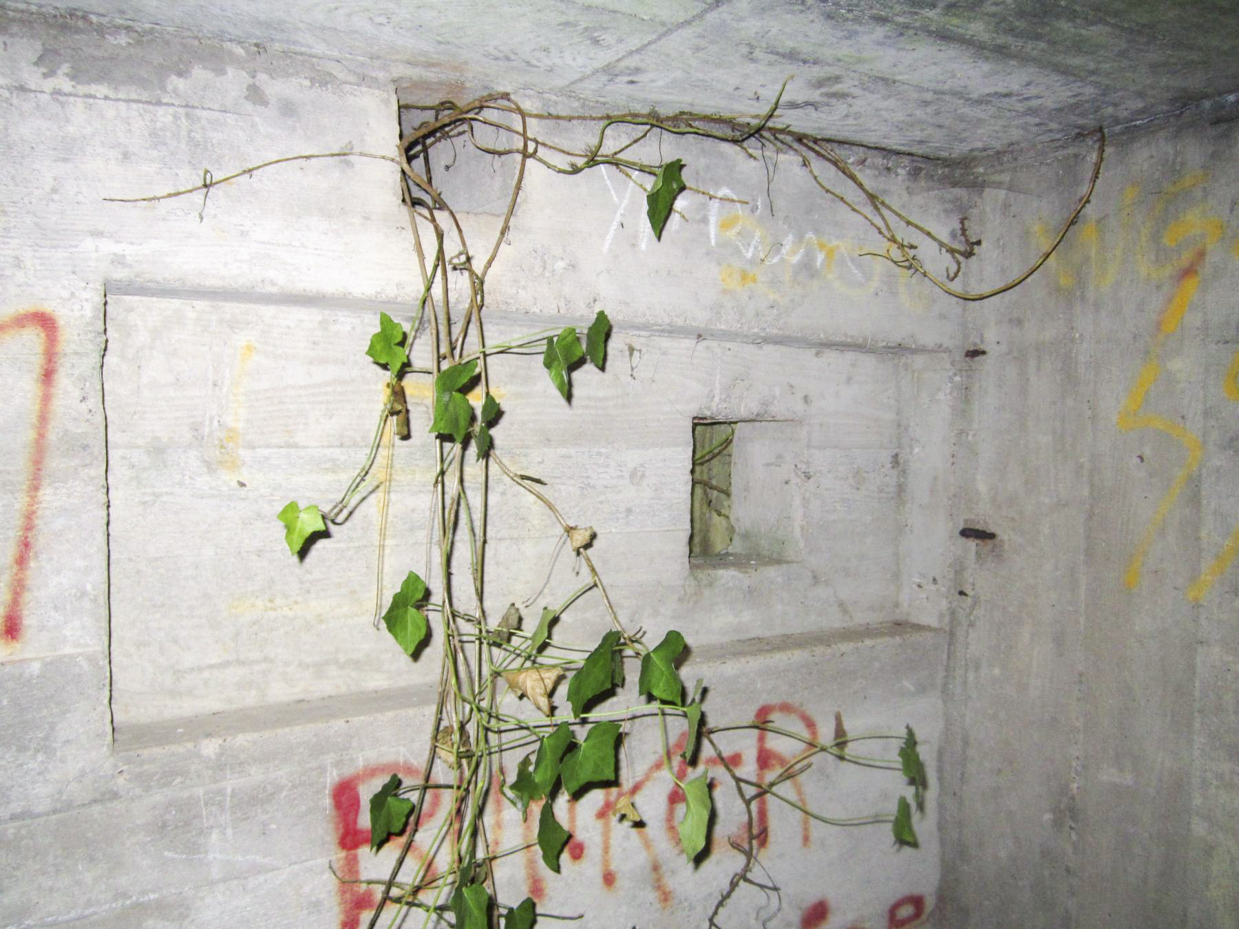 Ligne Maginot - HAUTE DIGUE 5 - (Blockhaus pour arme infanterie) - Créneau droit de défense rapprochée de l'entrée - G.Fuchs