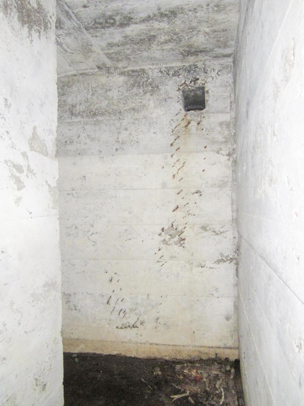 Ligne Maginot - HAUTE DIGUE 5 - (Blockhaus pour arme infanterie) - Accès en chicane à la chambre de tir - G.Fuchs