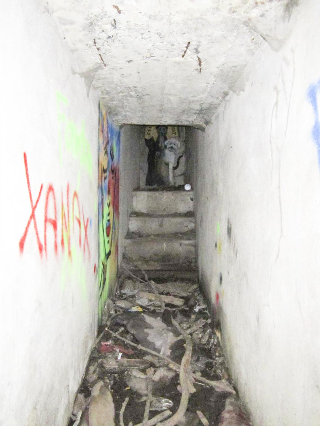Ligne Maginot - HAUTE DIGUE 3 - (Blockhaus pour arme infanterie) - Accès à la chambre de tir, à l'extrémité de la galerie