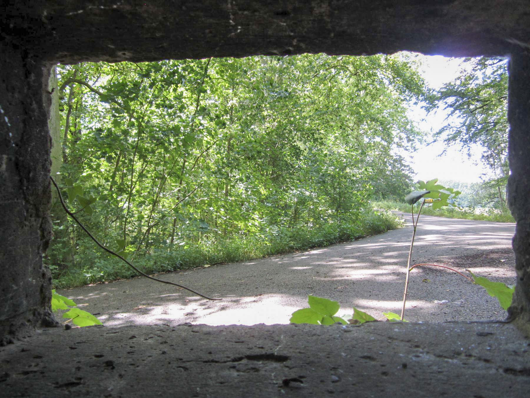 Ligne Maginot - HAUTE DIGUE 3 - (Blockhaus pour arme infanterie) - Vue depuis le créneau latéral droit (flanquement de la digue)